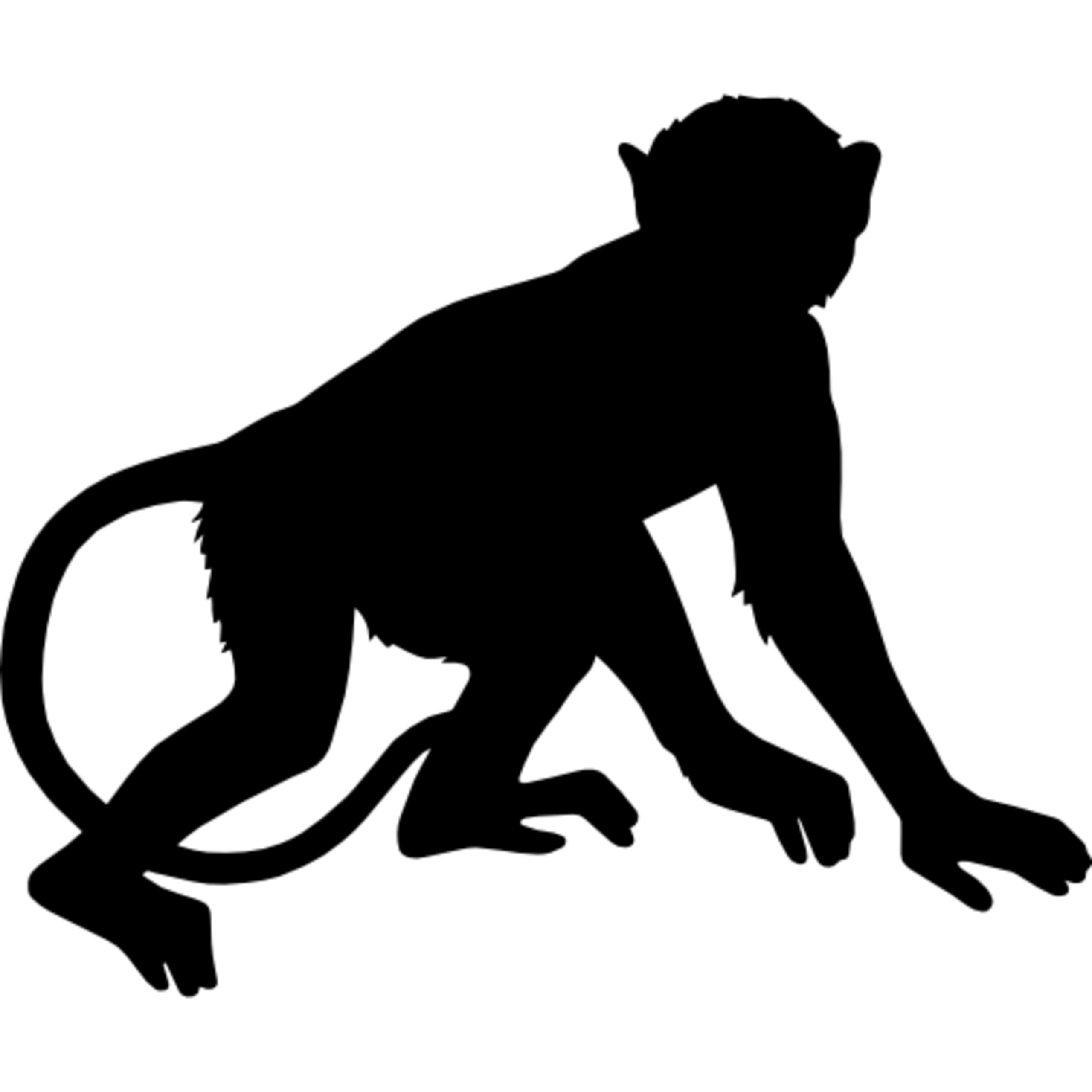 π Innovative Digital Solutions by Monkey Digital