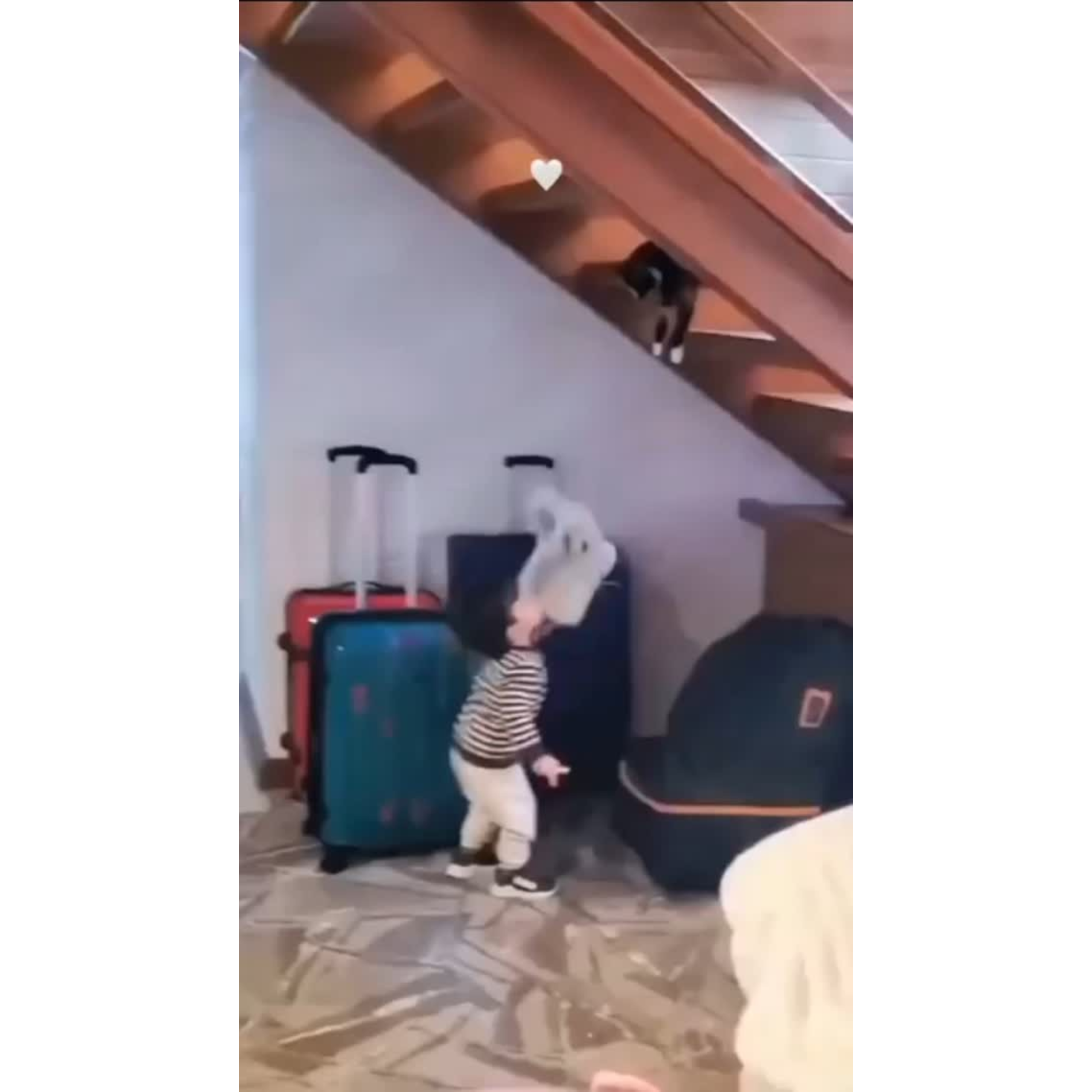 π»π§ Cats + Kids = Absolute Chaos & Cuteness!